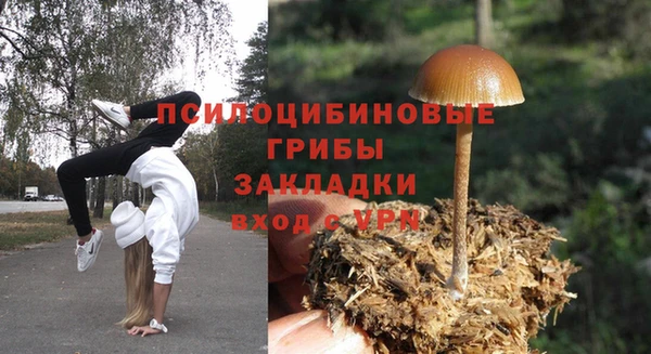 трава Алзамай
