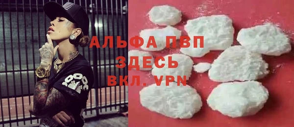 крисы Алексин