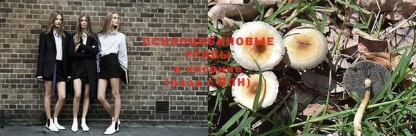 крисы Алексеевка