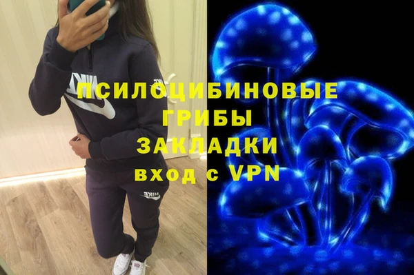 крисы Алексеевка