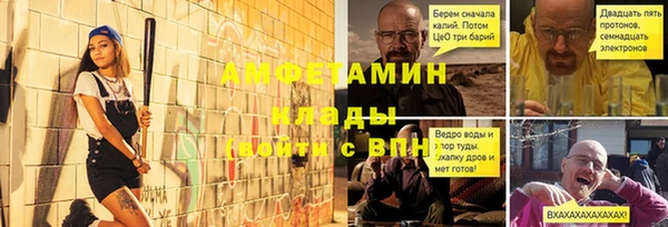 крисы Алексин