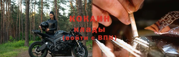 крисы Алексин