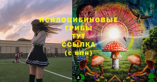 крисы Алексеевка
