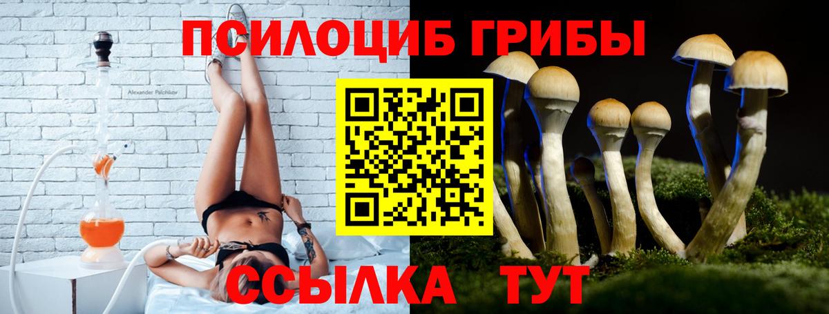 Галлюциногенные грибы Magic Shrooms Карабулак