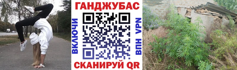 ОМГ ОМГ вход  Карабулак  Канабис планчик 